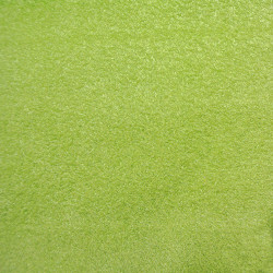 Alicante Pistachio